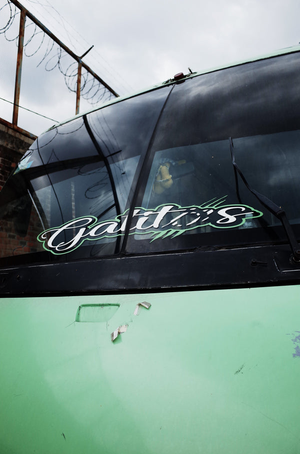 Gatitos