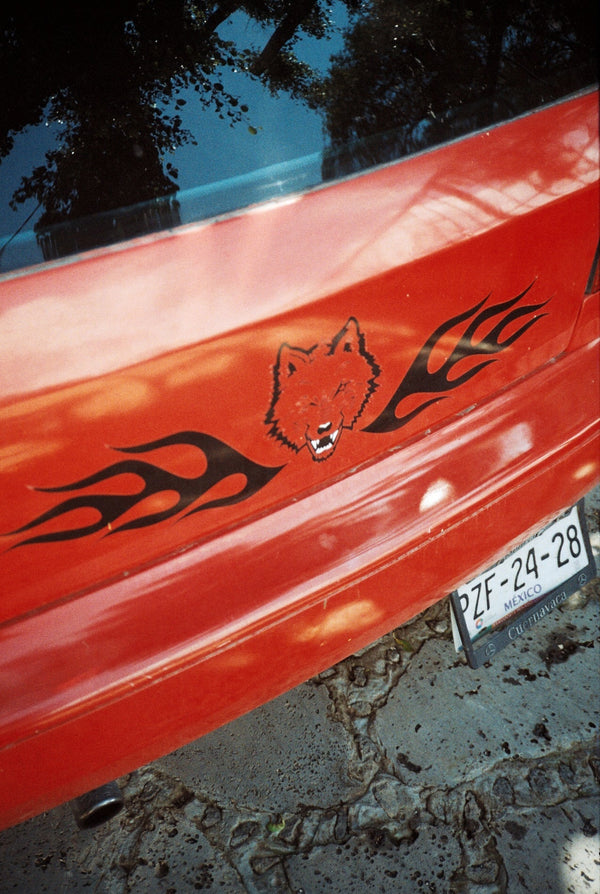 Lobo fire