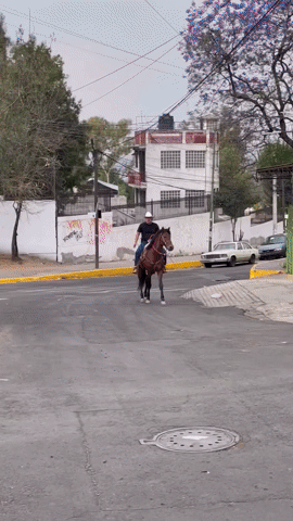 Caballito